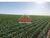 Fazenda-Sítio-Chácara, 424 m² - Foto 1