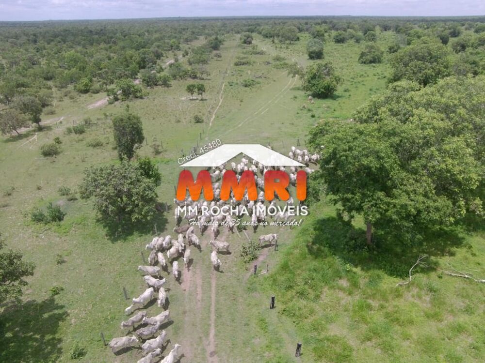 Fazenda à venda, 4031m² - Foto 5