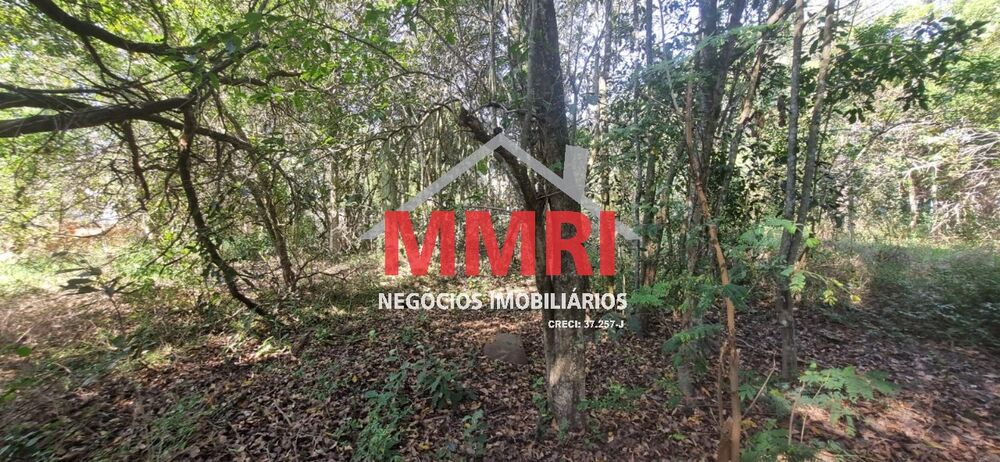 Terreno, 1000 m² - Foto 4