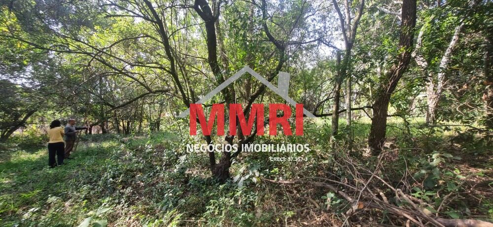 Terreno, 1000 m² - Foto 3