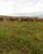 Fazenda, 160 m² - Foto 1