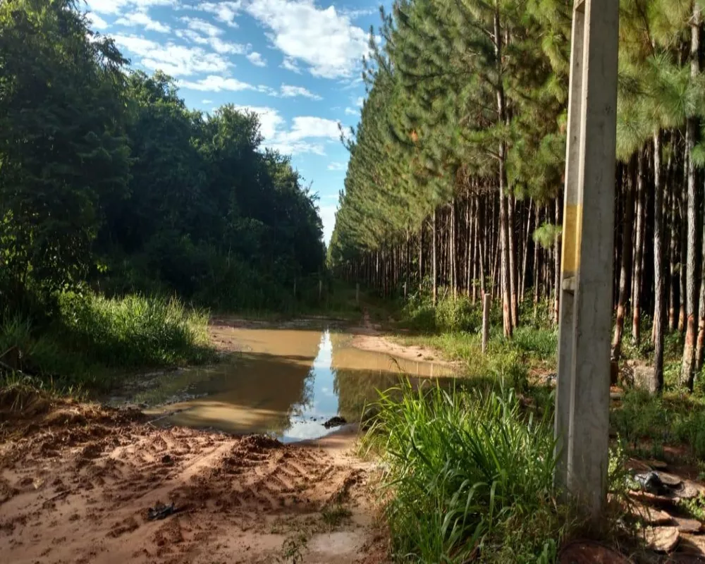 Fazenda à venda, 870m² - Foto 1