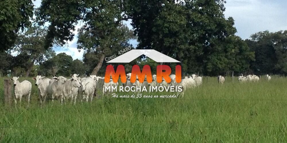 Fazenda-Sítio-Chácara, 1575 m² - Foto 4