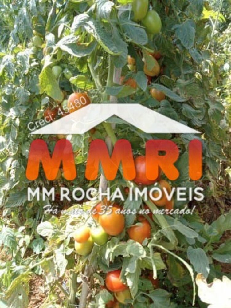 Fazenda, 32 m² - Foto 4