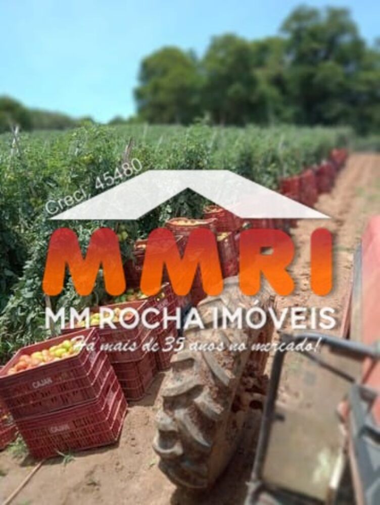 Fazenda, 32 m² - Foto 5