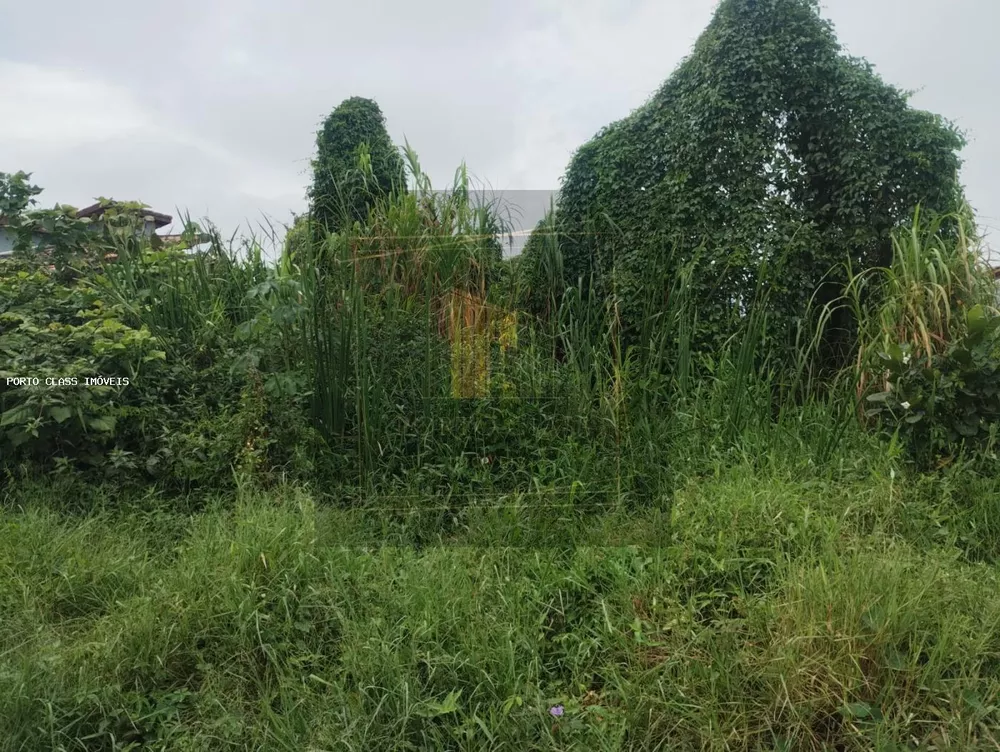 Terreno, 250 m² - Foto 6