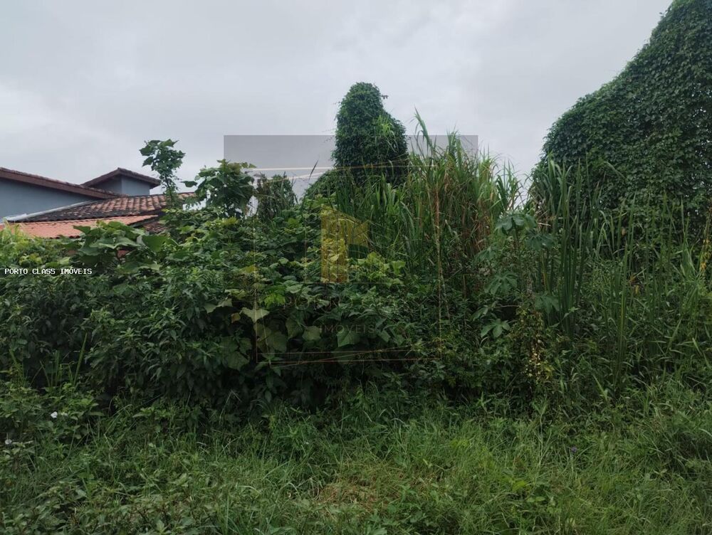 Terreno, 250 m² - Foto 4