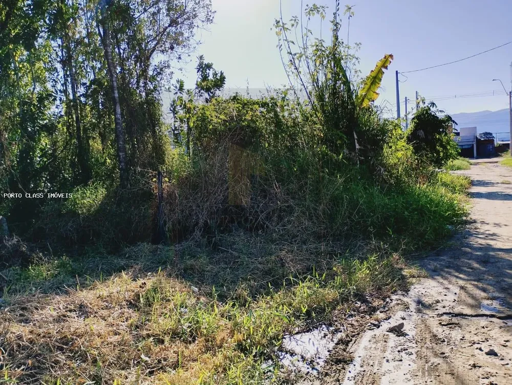 Terreno, 305 m² - Foto 4