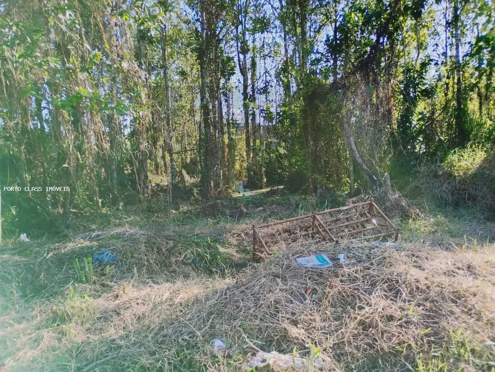Terreno, 305 m² - Foto 6