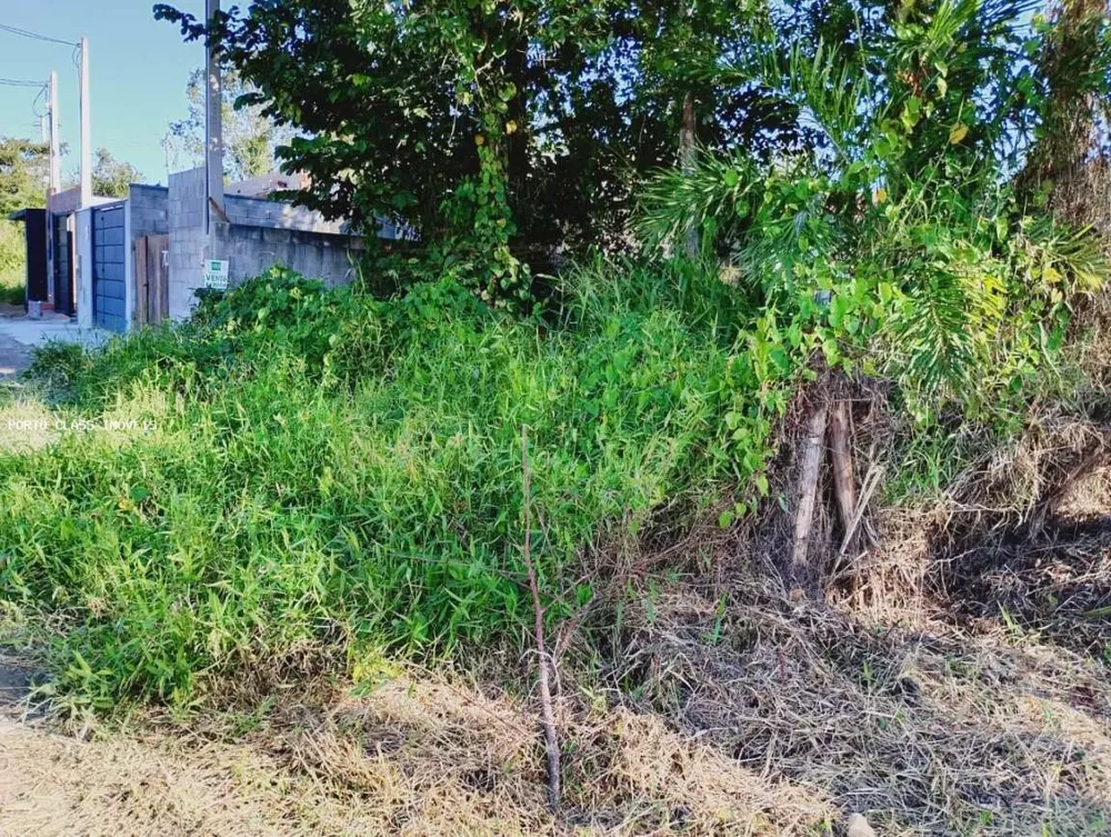 Terreno, 305 m² - Foto 2