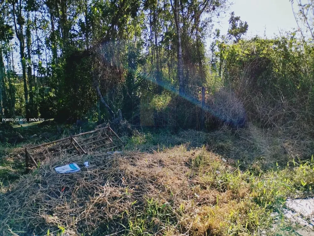 Terreno, 305 m² - Foto 5