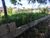 Terreno, 150 m² - Foto 2