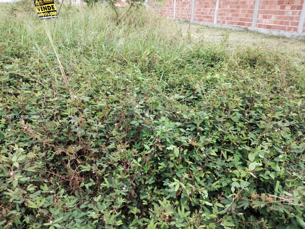 Terreno, 150 m² - Foto 4