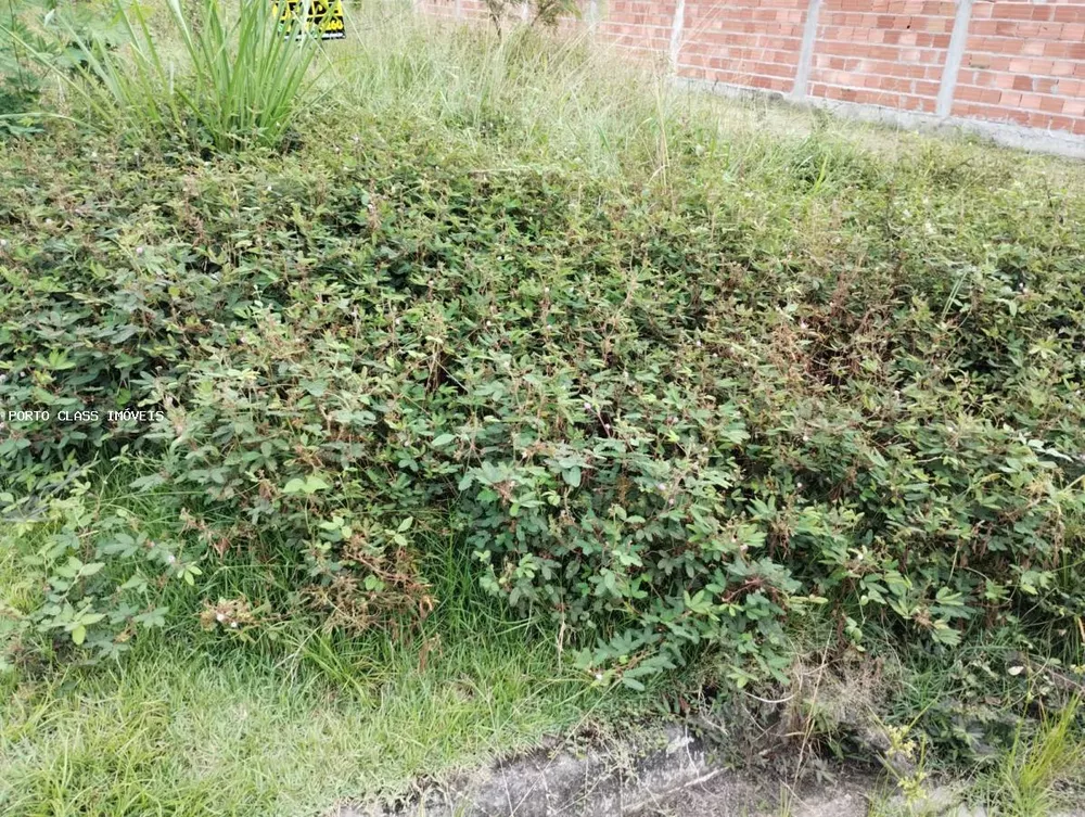 Terreno, 150 m² - Foto 6