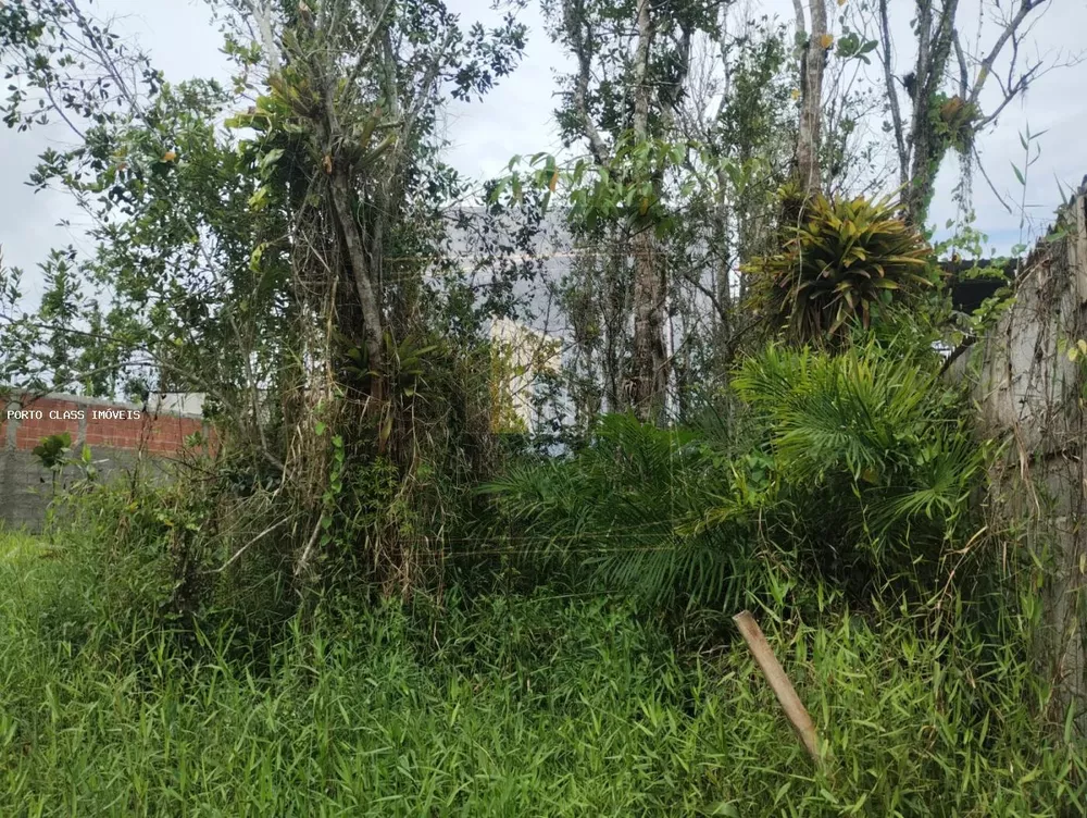 Terreno, 305 m² - Foto 7