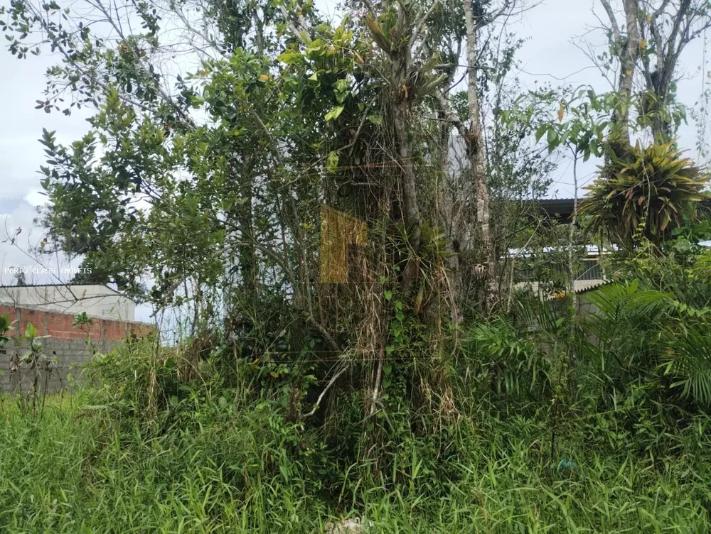 Terreno, 305 m² - Foto 6