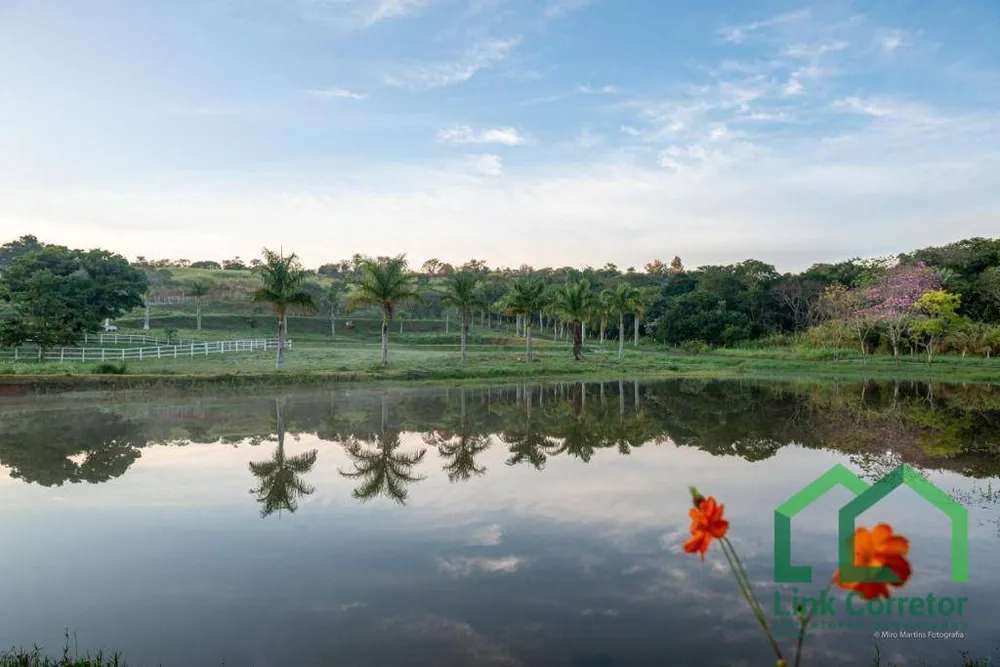 Terreno, 6 hectares - Foto 1