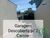 Casa, 3 quartos, 126 m² - Foto 6