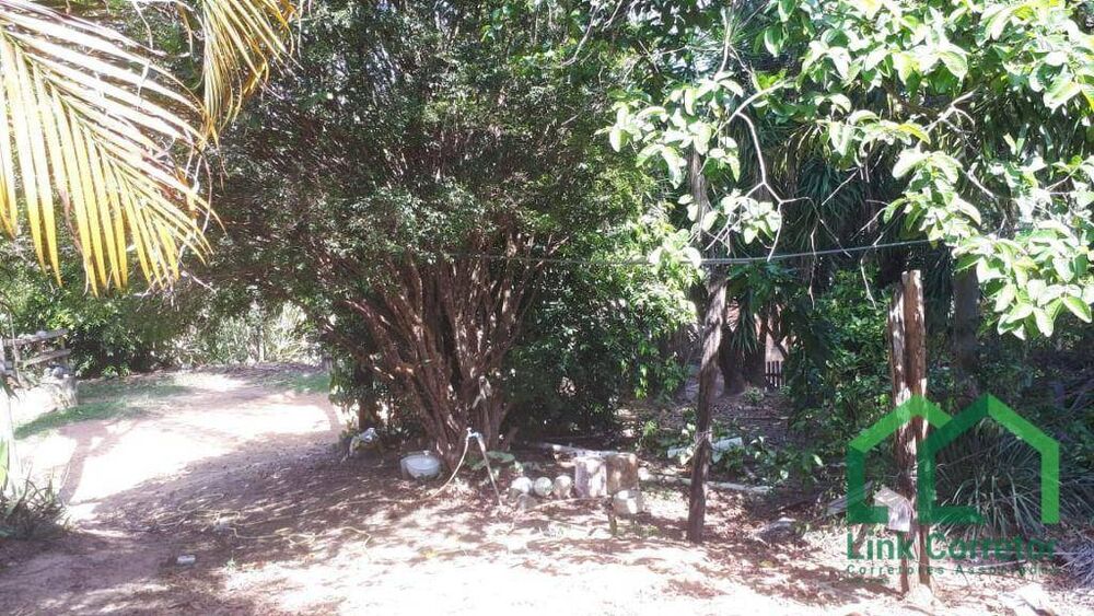 Chácara à venda com 2 quartos, 1268M2 - Foto 6