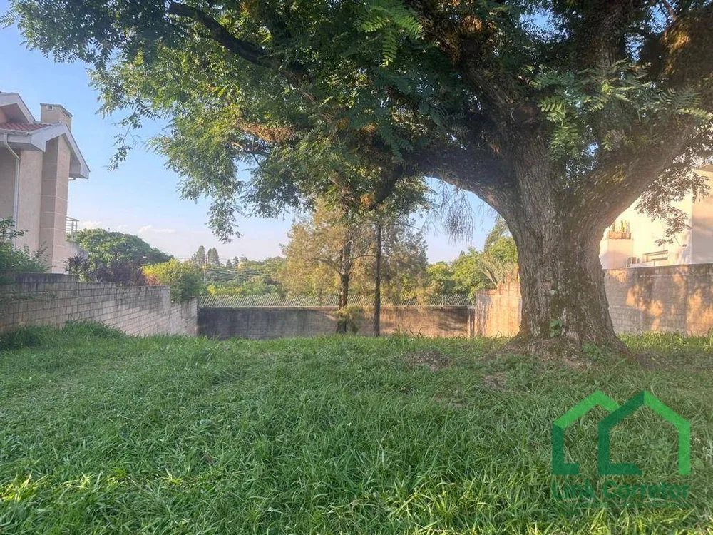 Terreno, 781 m² - Foto 3