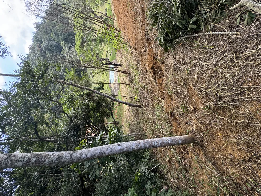Terreno, 3914 m² - Foto 5