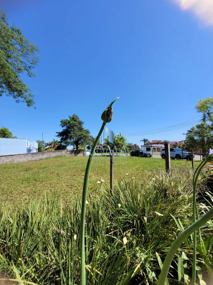 Terreno, 621 m² - Foto 3