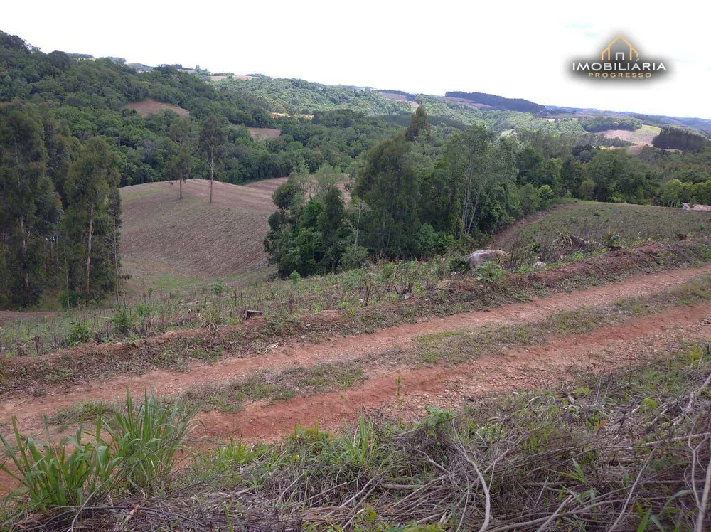 Chácara, 2 quartos, 18 hectares - Foto 1