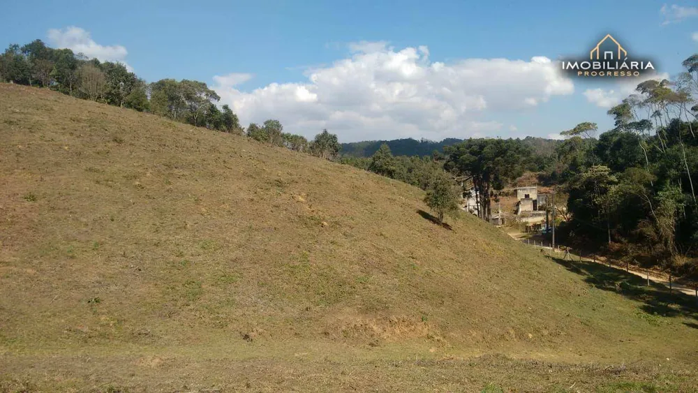 Chácara, 1 quarto, 10000 m² - Foto 3