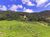 Terreno, 20 hectares - Foto 2