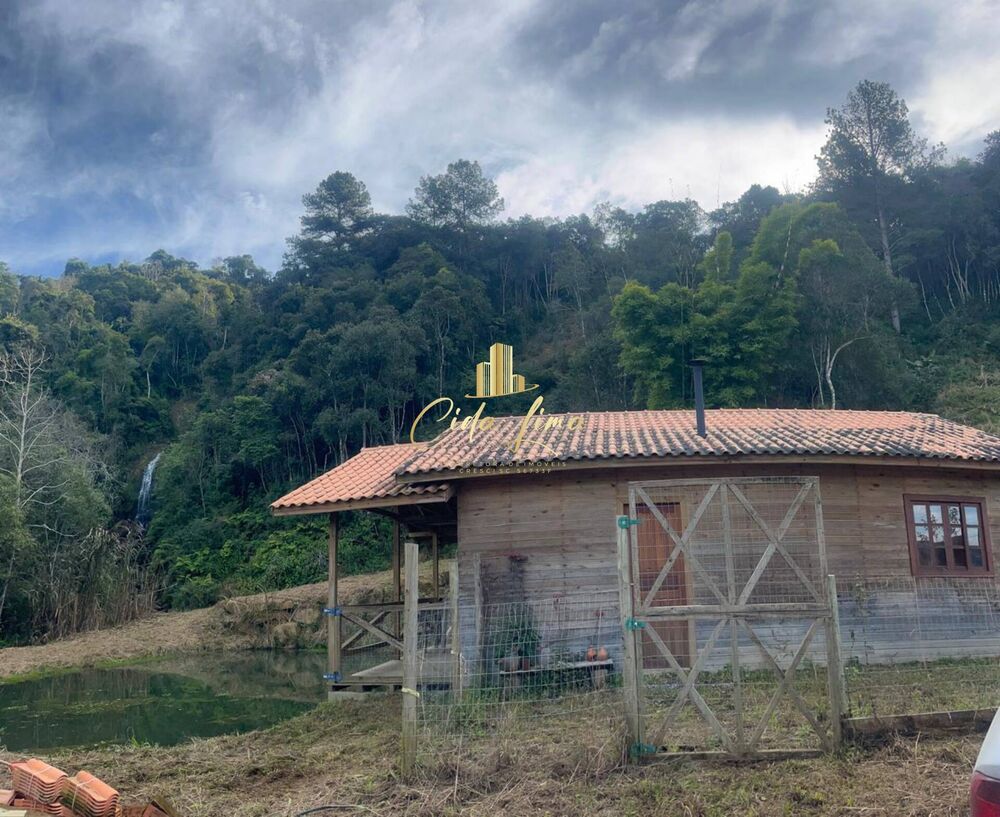 Sítio à venda com 2 quartos, 10000m² - Foto 4