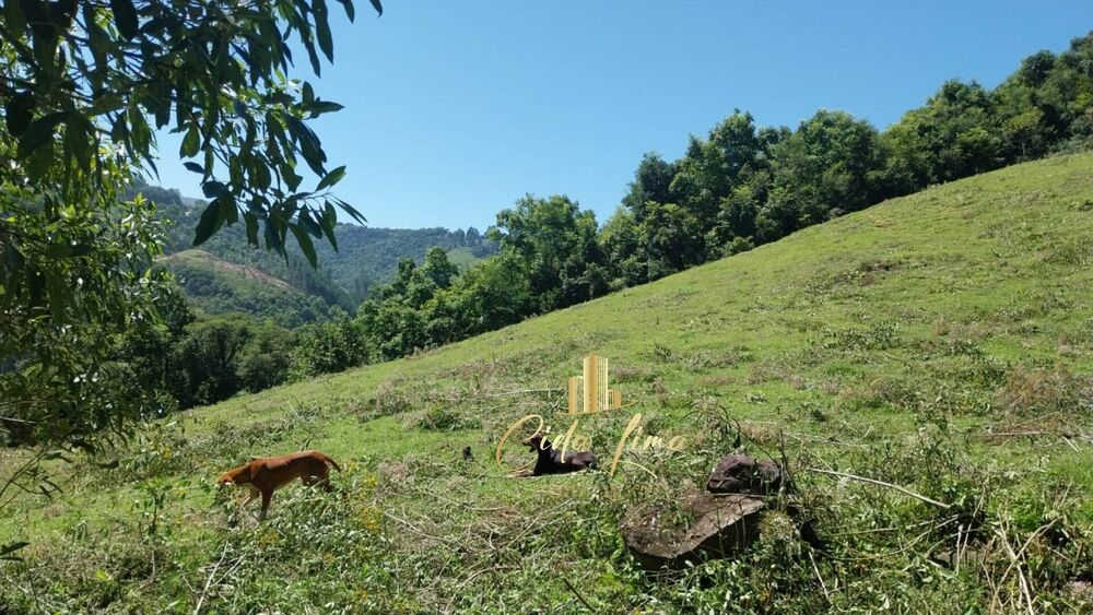 Sítio, 3 quartos, 12 hectares - Foto 4