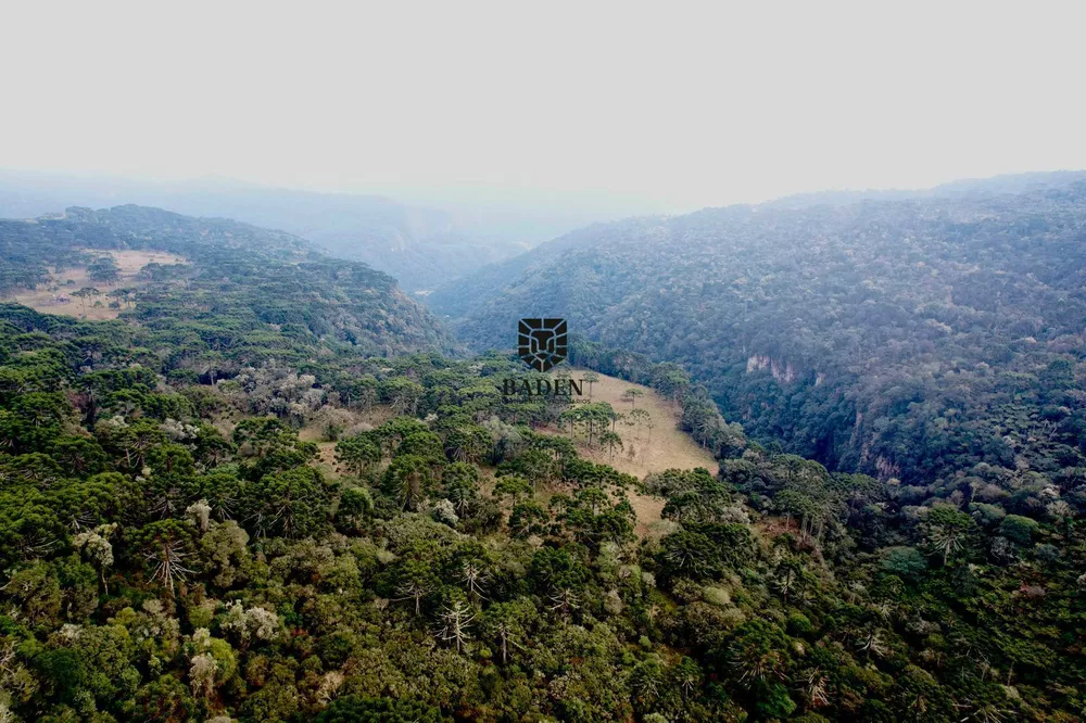 Fazenda à venda com 1 quarto, 1050000m² - Foto 3