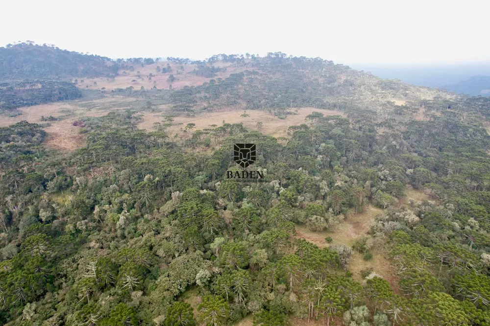 Fazenda à venda com 1 quarto, 1050000m² - Foto 4