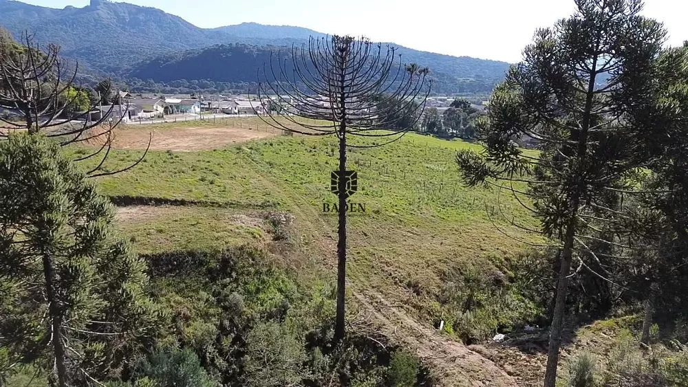 Fazenda à venda com 3 quartos, 150m² - Foto 3