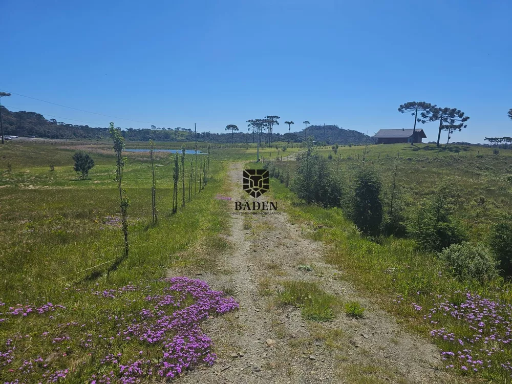 Fazenda à venda com 2 quartos, 40000m² - Foto 2