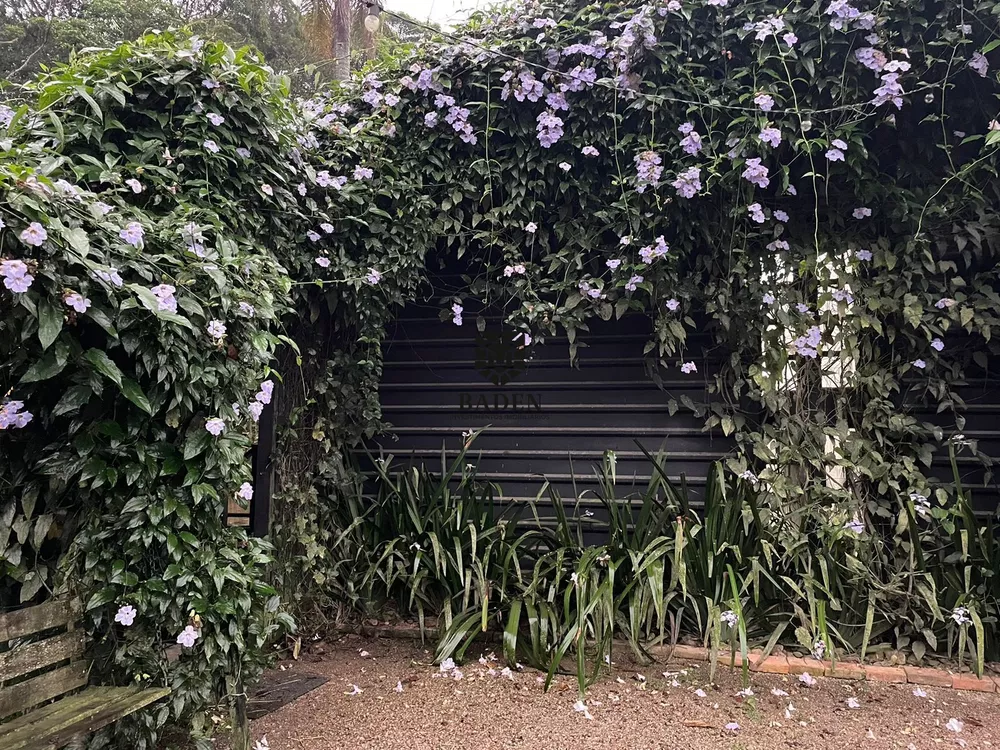 Fazenda à venda com 2 quartos, 1100m² - Foto 6