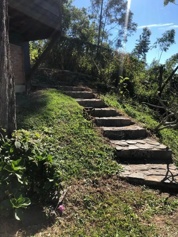 Fazenda à venda com 2 quartos, 1100m² - Foto 3