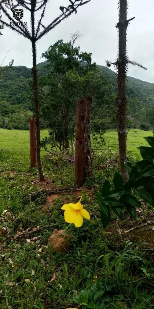 Fazenda, 105 hectares - Foto 2