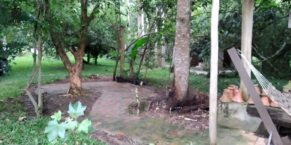 Fazenda, 105 hectares - Foto 3