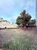 Terreno, 250 m² - Foto 2