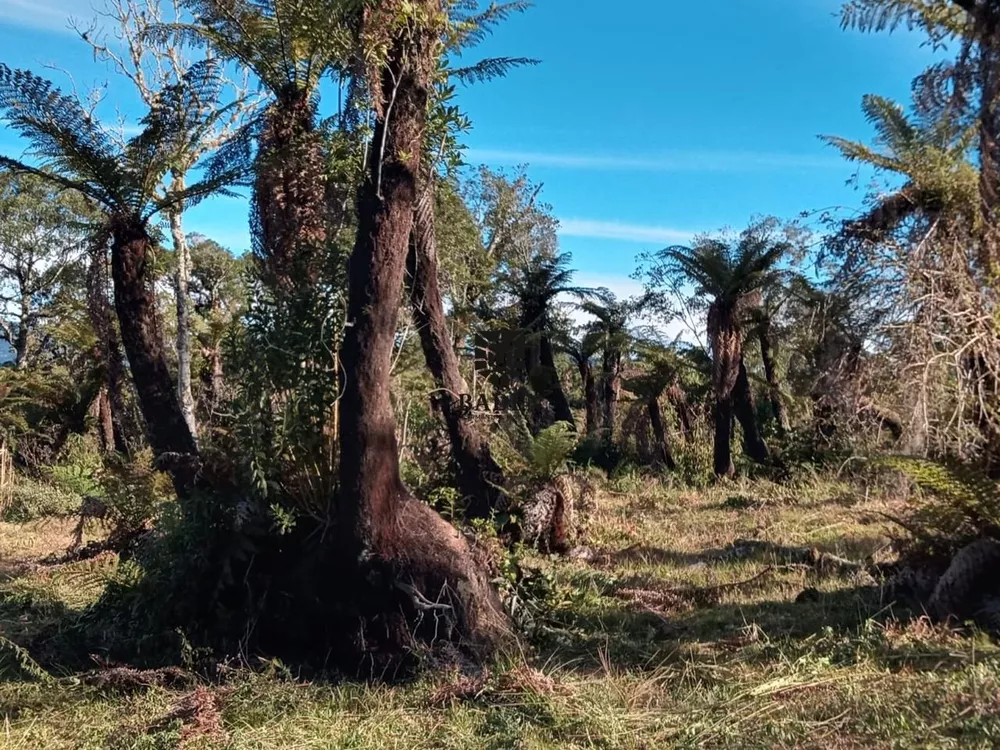 Loteamento e Condomínio à venda, 20000m² - Foto 4