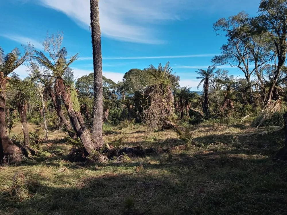 Loteamento e Condomínio à venda, 20000m² - Foto 1