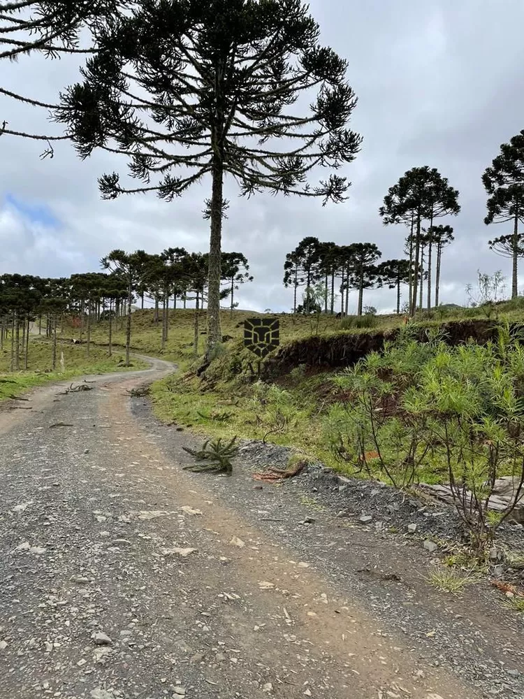 Fazenda à venda, 20000m² - Foto 6