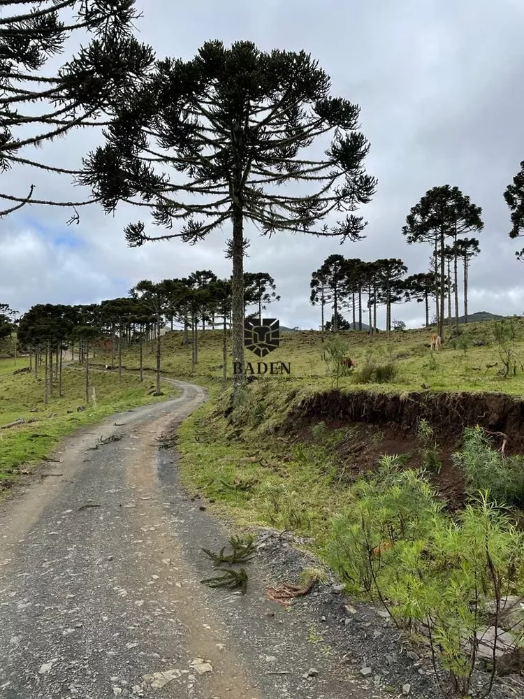 Fazenda à venda, 20000m² - Foto 7