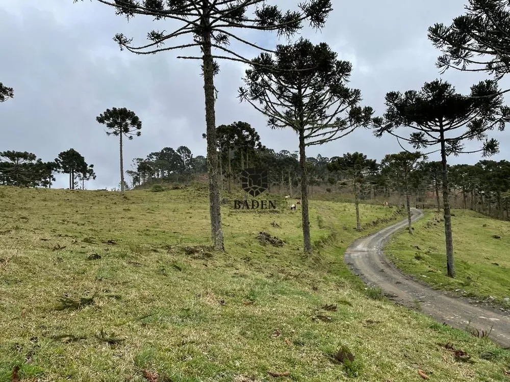 Fazenda à venda, 20000m² - Foto 8