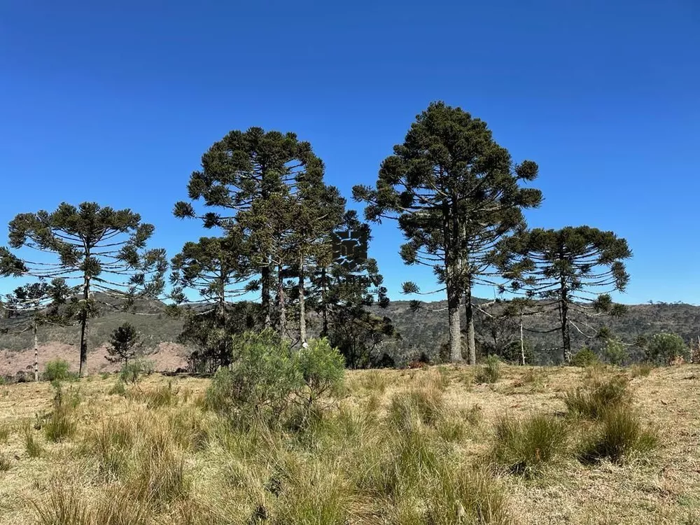 Fazenda à venda, 20000m² - Foto 5