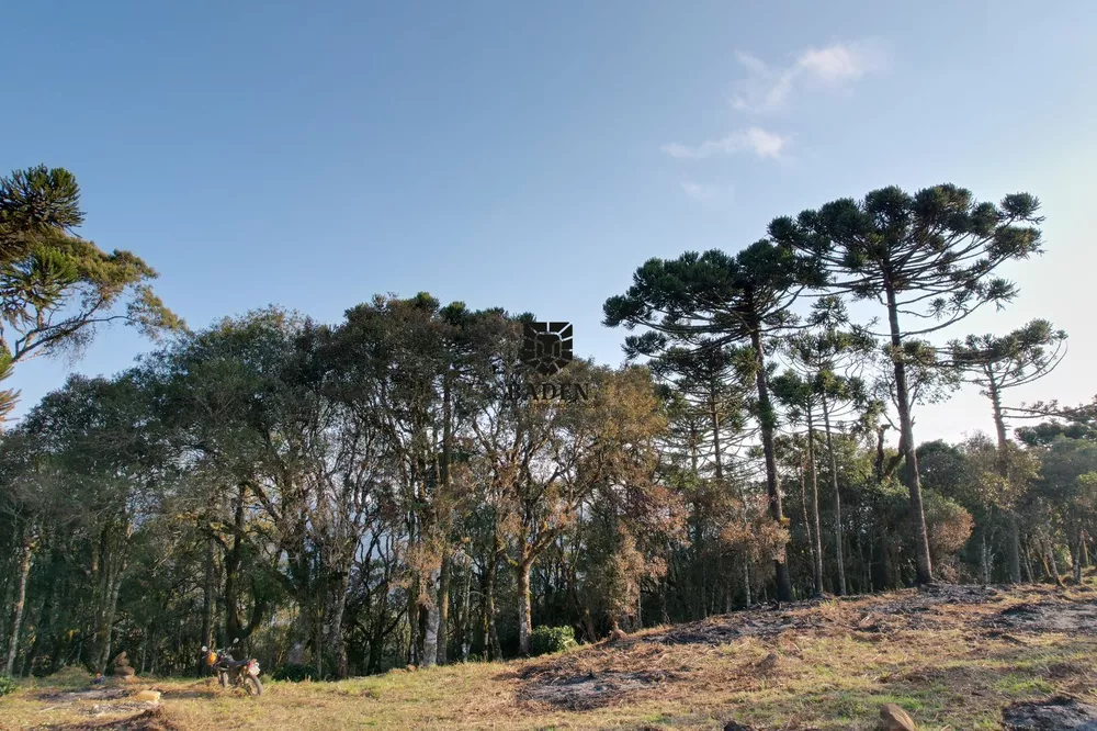 Terreno à venda, 24000m² - Foto 2