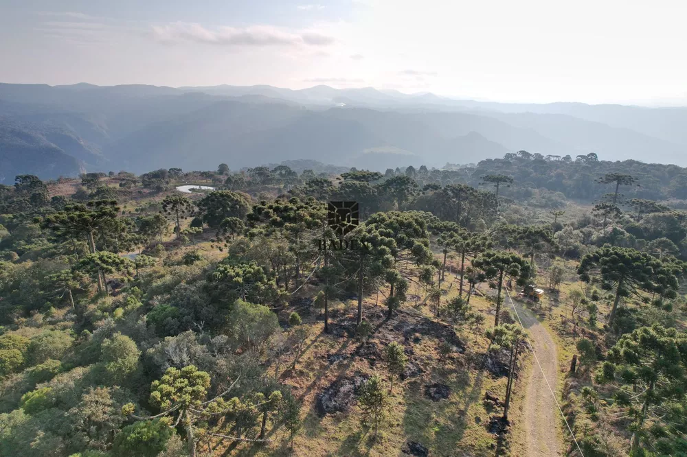 Terreno à venda, 24000m² - Foto 3