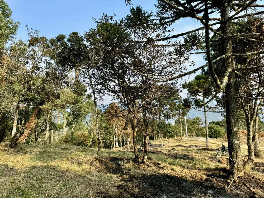 Terreno à venda, 24000m² - Foto 5