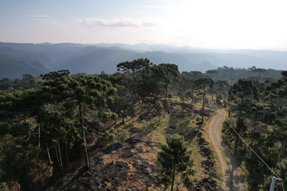 Terreno à venda, 24000m² - Foto 7